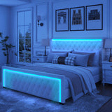 Velvet Queen Platform Bed with LED Light Headboard